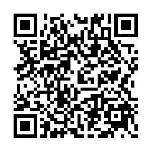 随即饶有深意地转头看了眼站在自己身侧的苏澈二维码生成