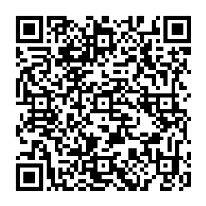 随即马上就想到了……这几本书中标记英文字母的书全部都是那种很厚很厚的大部头二维码生成