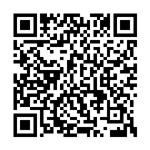 随即龙傲天冲天而起然后朝着星球的另一边飞去二维码生成