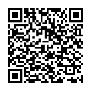 随即龙傲天只见阵玄子手中开始飞快的结出一道道手印二维码生成