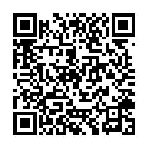 随即龙傲天手中出现了一个玉瓶直接递了过去开口道二维码生成