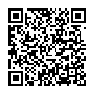 随即龙傲天接过了龙王递过来的令牌然后开口道二维码生成