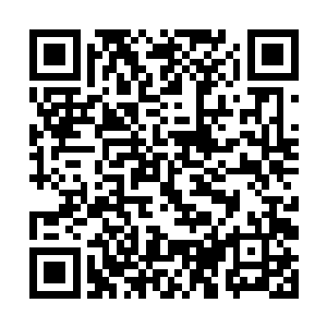 随即龙傲天整个人的心神也忍不住沉入了木源珠之中二维码生成