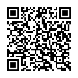 随口咀嚼几下便再次伸出舌头卷走大片元气结晶二维码生成