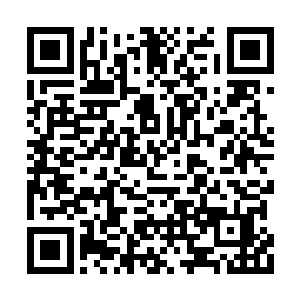 随后一直憋在心口里的那股郁气似乎得到了舒缓二维码生成