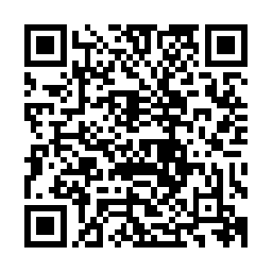 随后一股恐怖的森冷的杀意顿时也直接从蛮苍的身上散发出来二维码生成