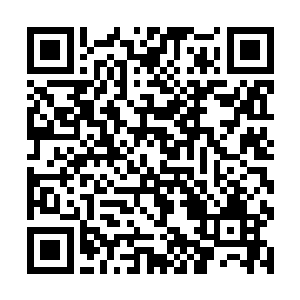 随后一道金芒也以极快的速度从他左手之中激射而去二维码生成