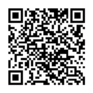 随后一颗巨大无比的人参果树竟然就这么破土而出二维码生成