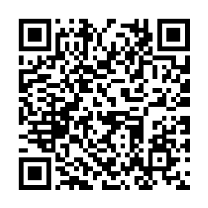 随后一颗珠子便不受控制地从她的储物戒指中出现二维码生成