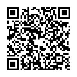 随后丁羽也是陪同老佩顿一同的去了一趟研究中心这边二维码生成
