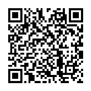 随后下一刻竟然做出了一个让所有人都大吃一惊的动作二维码生成