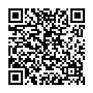 随后九彩神龙皇的身体再一次跟地面来了一个亲密的接触二维码生成