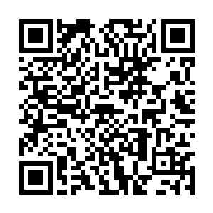 随后也得到了一部分伪军部队的睁一只眼闭一只眼二维码生成