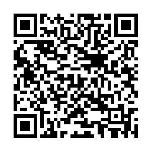随后他掏出一份加盖了帝国首相与其它印章的文件二维码生成