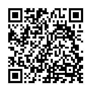 随后他身后那些后来的手下直接将地上的几人抬走了二维码生成