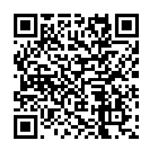 随后他还在那几个世家子弟的身上狠狠的踹了几脚才离开二维码生成