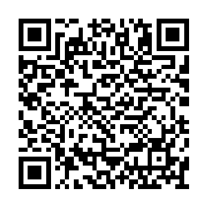 随后众人就能在任务栏中看到了他的那条任务了二维码生成