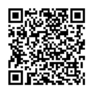 随后伸出几乎有洪大力半个身子大小的巨大脑袋二维码生成