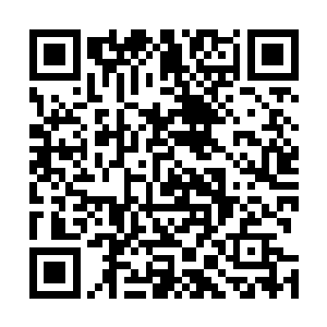 随后伸出手指向了南宫九重战利品里面一个深红色的葫芦二维码生成