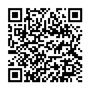 随后便将他身上那无数的蛇嘴之中开始喷涌出大量的赤金色烈焰二维码生成