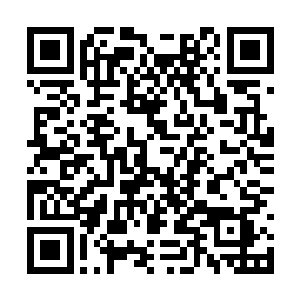 随后便扑到他的脚边开始疯狂吸收他血液中的能量二维码生成