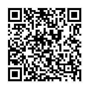 随后便是朝着女相府那边没完没了的抗议与兴师问罪二维码生成