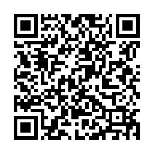 随后便有一个蛮族战士抗起那受伤的同伴出了山洞二维码生成