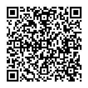 随后便见一条被绿光所环绕的青龙和一只浑身燃烧着炽烈火焰的朱雀也是腾空而起二维码生成