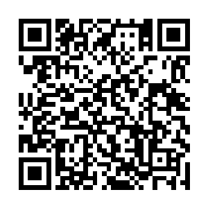 随后便见到那个雷灵的胸口出现了一道尺许长的口中二维码生成