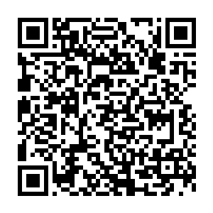 随后便见四五只丧尸犬慢慢从他们前方必经之路的拐角处慢慢出现二维码生成
