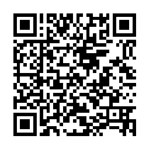 随后便见楚青那被青玉铠甲覆盖的左臂也冲天而起二维码生成