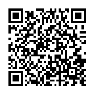 随后候在门口的两名侍女立即一左一右的拉开了包厢门二维码生成