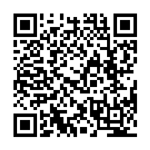 随后像是得到了什么满意的答案出奇的对她温和的笑了二维码生成