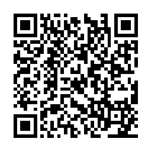 随后其他的八个岩浆巨人再次将攻击打向了星王瞳二维码生成