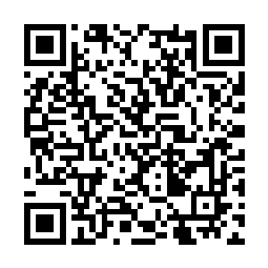 随后再用那块石头把木棍的一段削得稍微尖锐一点二维码生成