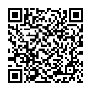 随后发现水潭中竟然有一群长着锋利牙齿的银鳞鱼二维码生成