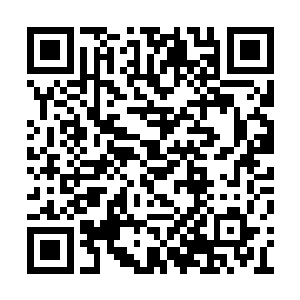 随后只见十八根冰柱上面顿时发出了一声声轻响二维码生成