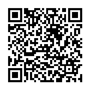 随后只见杨戬手中开始结出一个个复杂玄妙的手印二维码生成