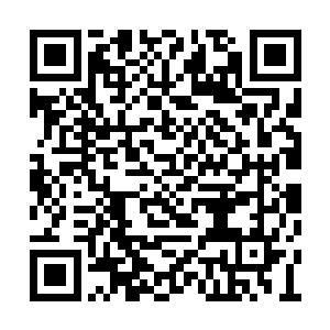 随后只见身后的九幽魔主手中顿时打出一道手印二维码生成