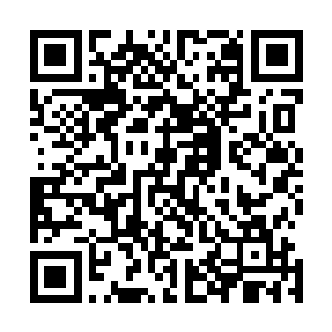 随后只见银白色的光幕上面瞬间出现了一个诡异的太极图案二维码生成