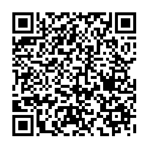 随后只见阴阳之灵瞬间直接化作了一道流光直接进入到了杨戬的识海之中二维码生成