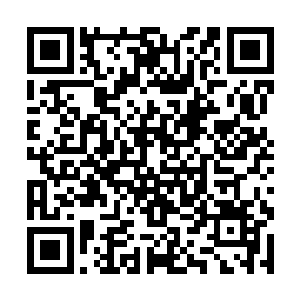 随后吕长老的整个身体直接被狠狠的砸在了地面之上二维码生成