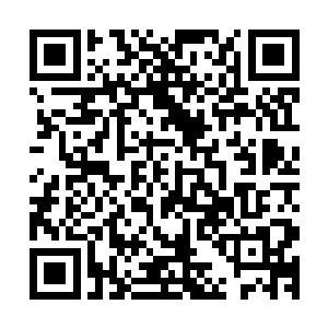 随后周围的几名海盗在斩马刀的斗气光芒之下直接变成了两段二维码生成