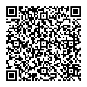 随后在引导之下进入了里面……最后却被关了起来……不过后来……我因为里面存在的记忆觉醒了天道……后二维码生成