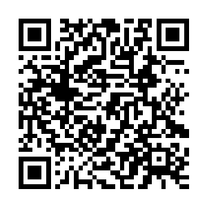 随后在每个家族的家族的具体人员身上面再标注各个小厮等等二维码生成