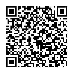 随后她看到那些契约兽或手腕或脖子上系着的银带另一头缠上了白玉灵驾二维码生成