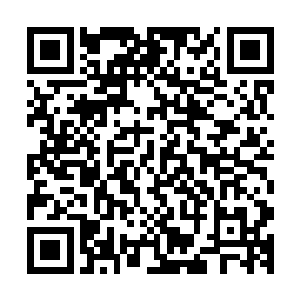 随后孙雅儿开始不断的用自己的心神加强跟七彩玲珑塔的联系二维码生成