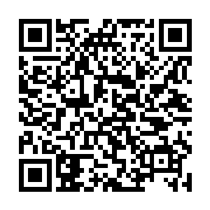 随后将白小仙的头发从小鸟头上的一个小环穿了过去二维码生成