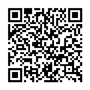 随后就张牙舞爪地向着距离她们最近的海军士兵拼命地扑了上去二维码生成