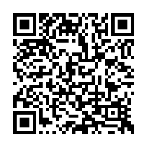 随后就看到了微笑地朝自己伸手的约翰尼一德普二维码生成